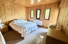 Cabana 5 camere, 140 mp utili, 3000 mp teren,balta de peste