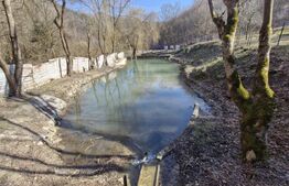 Cabana 5 camere, 140 mp utili, 3000 mp teren!