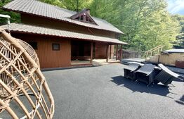 Cabana 5 camere, 140 mp utili, 3000 mp teren,balta de peste