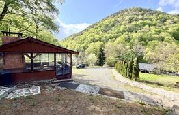 Cabana 5 camere, 140 mp utili, 3000 mp teren,balta de peste