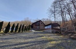 Cabana 5 camere, 140 mp utili, 3000 mp teren!