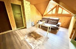 Cabana 5 camere, 140 mp utili, 3000 mp teren,balta de peste