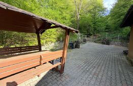 Cabana 5 camere, 140 mp utili, 3000 mp teren,balta de peste