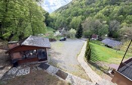 Cabana 5 camere, 140 mp utili, 3000 mp teren,balta de peste