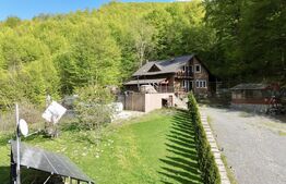 Cabana 5 camere, 140 mp utili, 3000 mp teren,balta de peste