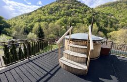 Cabana 5 camere, 140 mp utili, 3000 mp teren,balta de peste