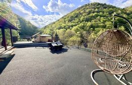 Cabana 5 camere, 140 mp utili, 3000 mp teren,balta de peste