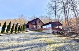 Casa de vânzare 5 camere Nord Est - 182836CV | BLITZ Alba Iulia | Poza1