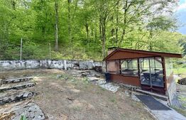 Cabana 5 camere, 140 mp utili, 3000 mp teren,balta de peste
