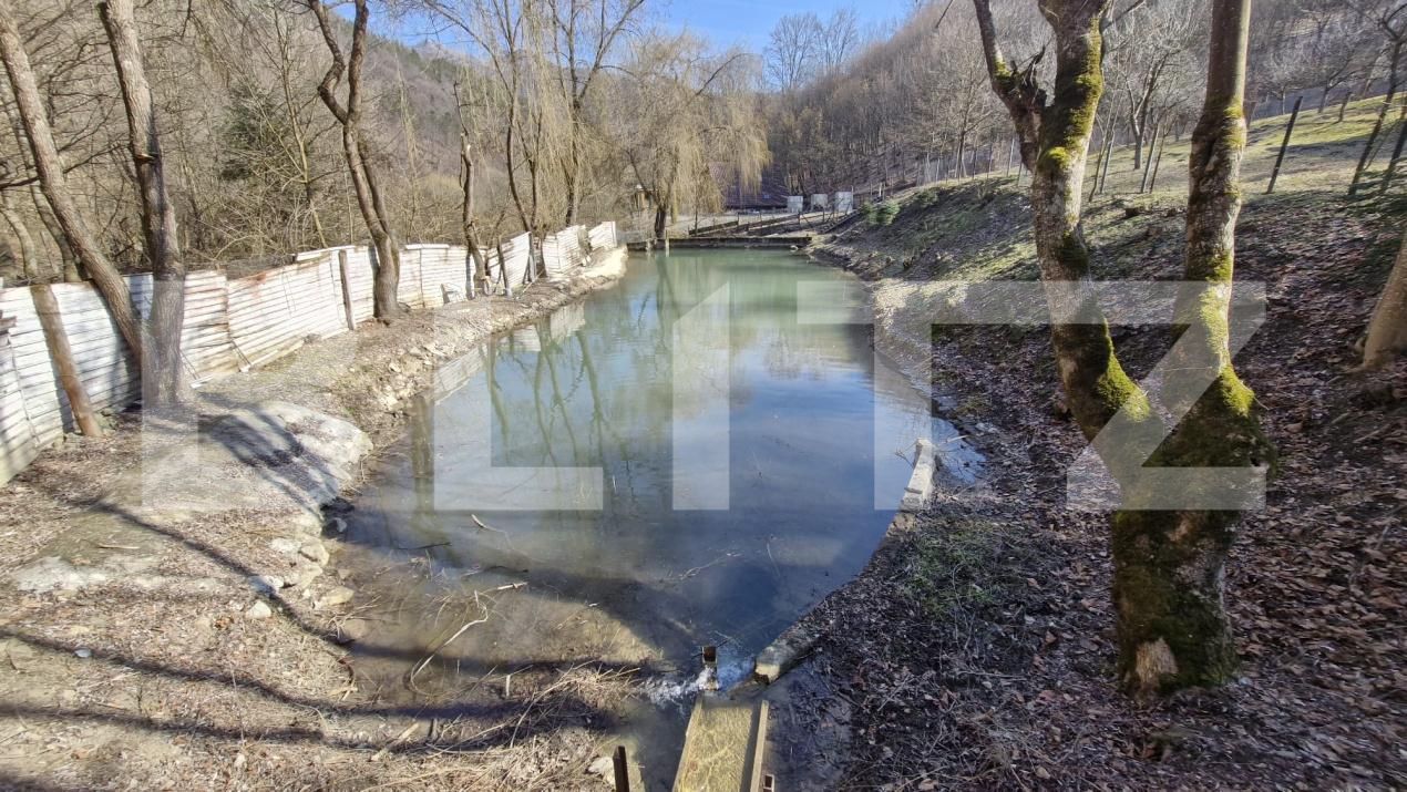 Casa de vânzare 6 camere Valea Inzelului - 189558CV | BLITZ Alba Iulia | Poza9