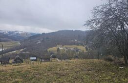 Casă de munte cu teren generos de 7.297 mp, Dăroaia, comuna Roșia Montană