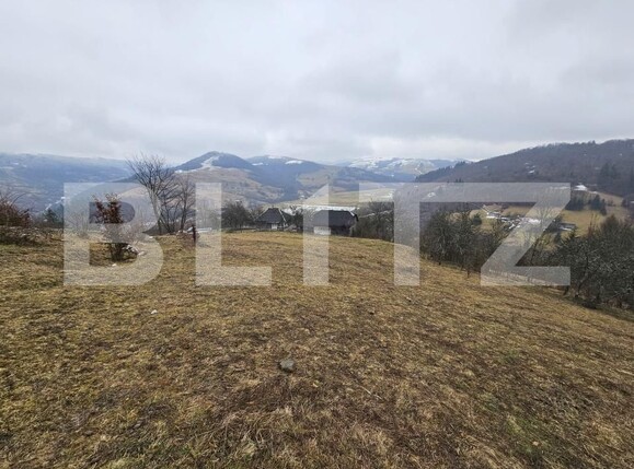 Casa de vânzare 3 camere Daroaia - 189593CV | BLITZ Alba Iulia | Poza10