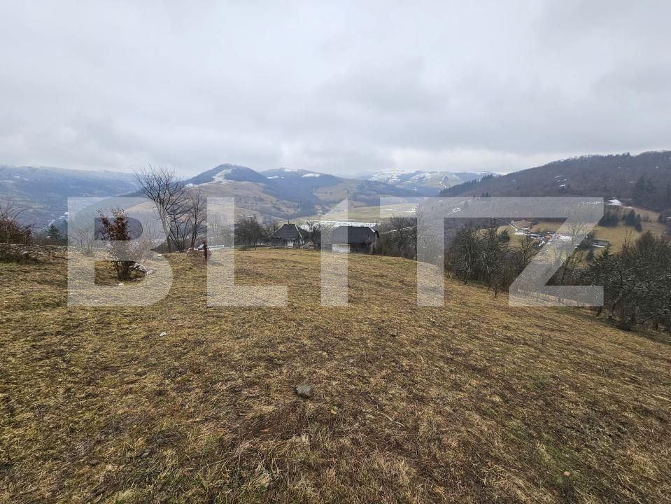 Casa de vânzare 3 camere Daroaia - 189593CV | BLITZ Alba Iulia | Poza10