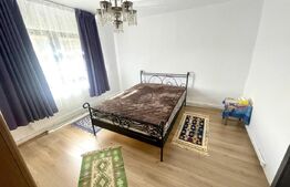 Casă de vacanță sau locuință în Apuseni | 3300 mp teren | Avram Iancu