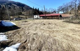 Casă de vacanță sau locuință în Apuseni | 3300 mp teren | Avram Iancu