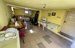 Casă de vacanță sau locuință în Apuseni | 3300 mp teren | Avram Iancu