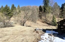 Casă de vacanță sau locuință în Apuseni | 3300 mp teren | Avram Iancu