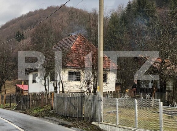 Casa de vânzare 3 camere Arieseni - 189702CV | BLITZ Alba Iulia | Poza1