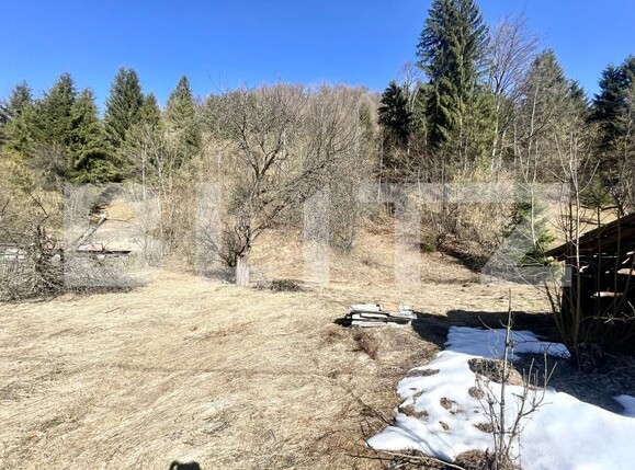 Casa de vânzare 3 camere Arieseni - 189702CV | BLITZ Alba Iulia | Poza8