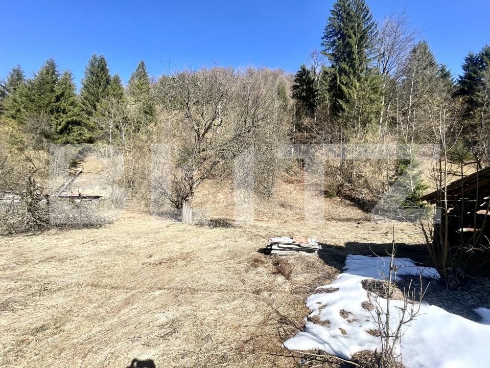 Casa de vânzare 3 camere Arieseni - 189702CV | BLITZ Alba Iulia | Poza8