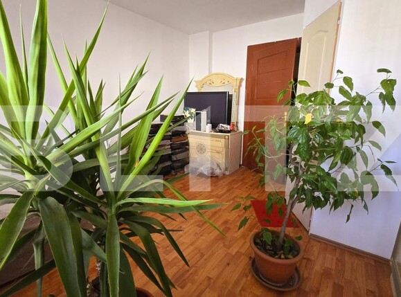 Casa de închiriat 4 camere Blaj - 189710CI | BLITZ Alba Iulia | Poza7