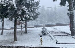 HOTEL 3★ DE VÂNZARE – VÂRTOP ARIEȘENI, MUNȚII APUSENI