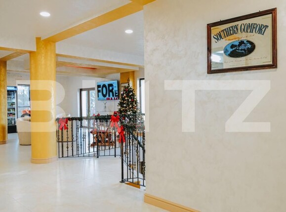 Spațiu comercial de vânzare Arieseni - 189741SVC | BLITZ Alba Iulia | Poza21