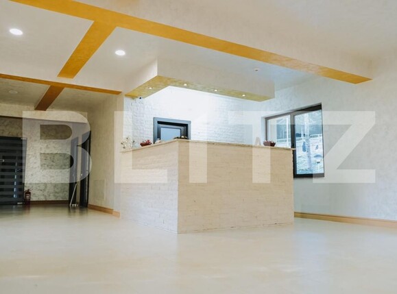 Spațiu comercial de vânzare Arieseni - 189741SVC | BLITZ Alba Iulia | Poza9