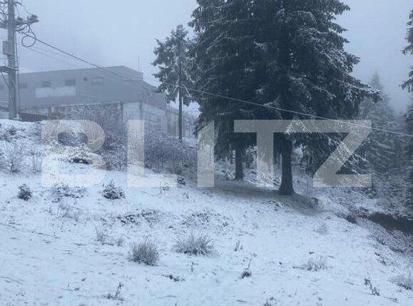 Spațiu comercial de vânzare Arieseni - 189741SVC | BLITZ Alba Iulia | Poza23