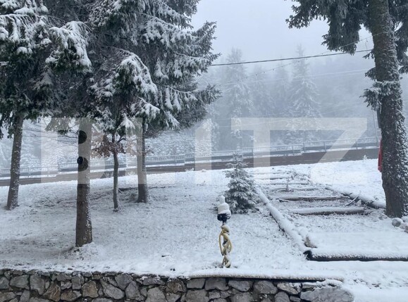 Spațiu comercial de vânzare Arieseni - 189741SVC | BLITZ Alba Iulia | Poza24