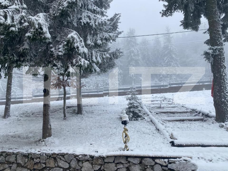 Spațiu comercial de vânzare Arieseni - 189741SVC | BLITZ Alba Iulia | Poza24