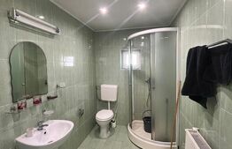 Hala industriala service Auto + Spatiu locativ P+1