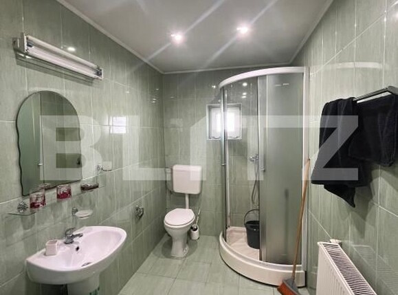 Spațiu industrial de vânzare Maier - 189826SVI | BLITZ Alba Iulia | Poza10