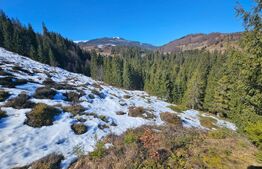 Teren 2 ha, cu pădure proprie și panoramă spre munți, Arieşeni