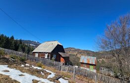 Teren 2 ha, cu pădure proprie și panoramă spre munți, Arieşeni