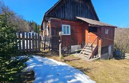 Teren 2 ha, cu pădure proprie și panoramă spre munți, Arieşeni