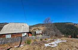 Teren 2 ha, cu pădure proprie și panoramă spre munți, Arieşeni