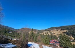 Teren 2 ha, cu pădure proprie și panoramă spre munți, Arieşeni