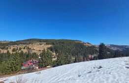 Teren 2 ha, cu pădure proprie și panoramă spre munți, Arieşeni