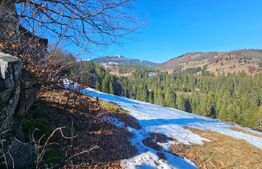 Teren 2 ha, cu pădure proprie și panoramă spre munți, Arieşeni