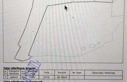 Teren 2 ha, cu pădure proprie și panoramă spre munți, Arieşeni