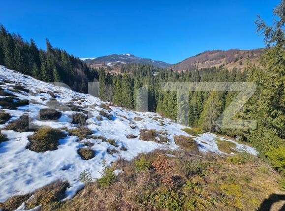 Teren de vânzare Arieseni - 189859TV | BLITZ Alba Iulia | Poza4