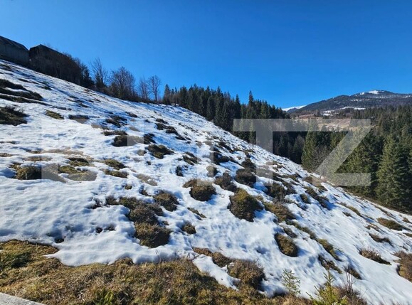 Teren de vânzare Arieseni - 189859TV | BLITZ Alba Iulia | Poza3
