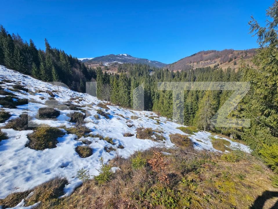 Teren de vânzare Arieseni - 189859TV | BLITZ Alba Iulia | Poza4