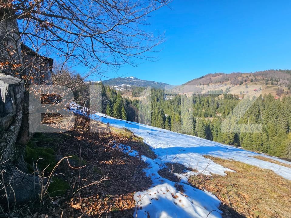 Teren de vânzare Galbena - 189859TV | BLITZ Alba Iulia | Poza2