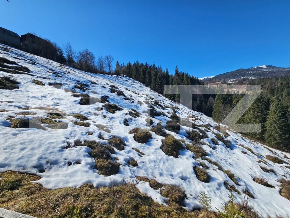 Teren de vânzare Arieseni - 189859TV | BLITZ Alba Iulia | Poza3
