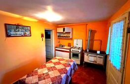 Casă de vânzare în Blaj – 1950 mp teren, 110 mp utili