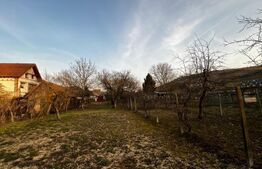 Casă de vânzare în Blaj – 1950 mp teren, 110 mp utili