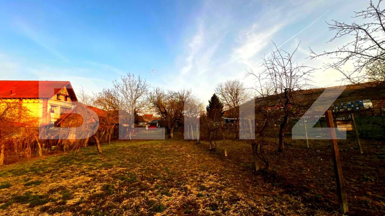 Casa de vânzare 5 camere Blaj - 189880CV | BLITZ Alba Iulia | Poza8