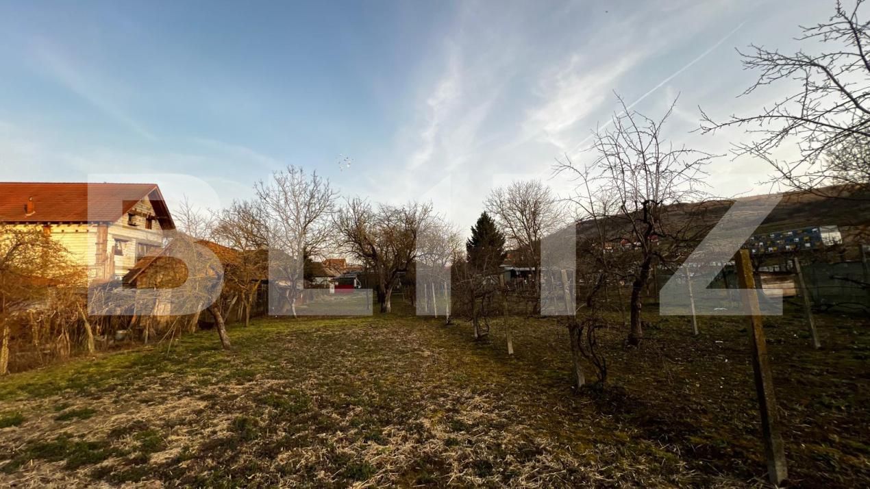 Casa de vânzare 5 camere Blaj - 189880CV | BLITZ Alba Iulia | Poza8